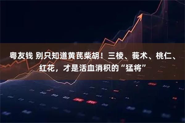 粤友钱 别只知道黄芪柴胡！三棱、莪术、桃仁、红花，才是活血消积的“猛将”